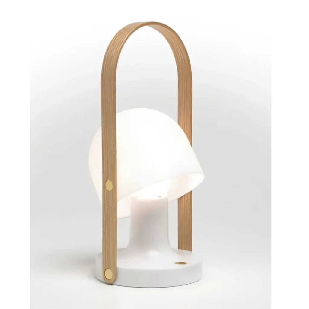 Luz portátil Followme.